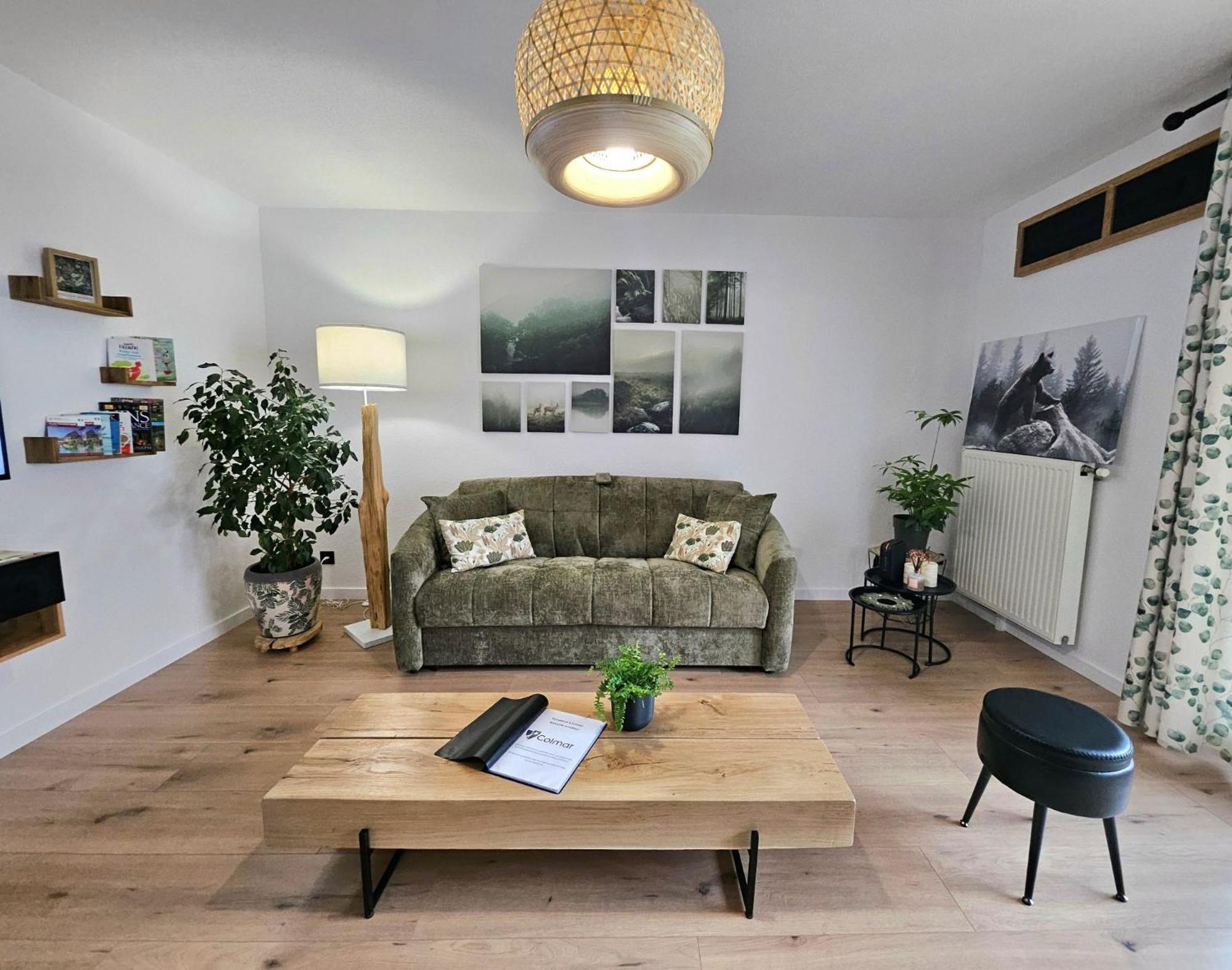 Forestier - T2 Cosy Avec Terrasse & Parking Privatif -centre